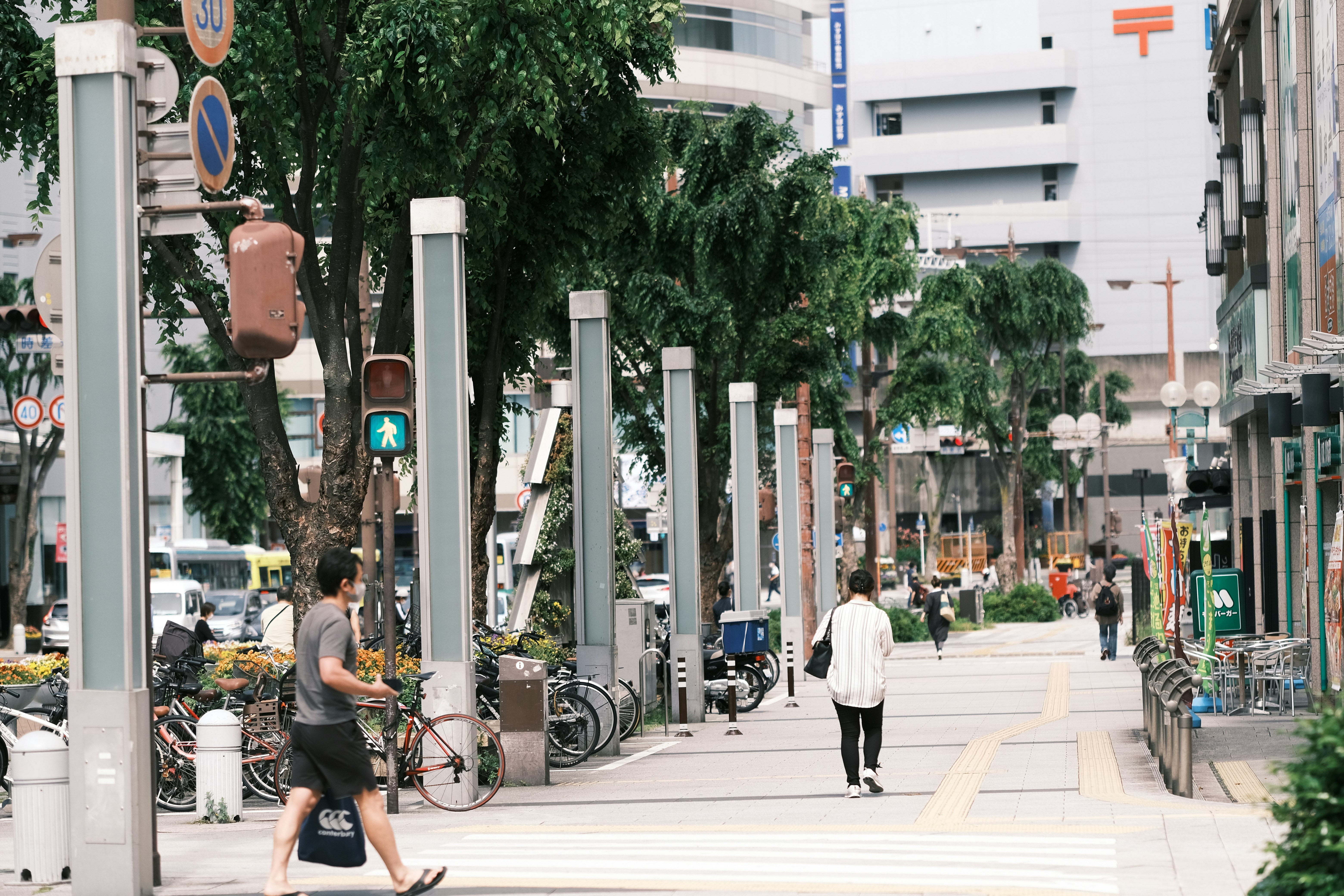 people walking on pedestrian lane during daytime